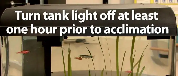 Acclimate fish