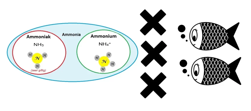 Ammonia Poisoning