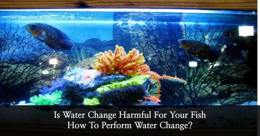 water change
