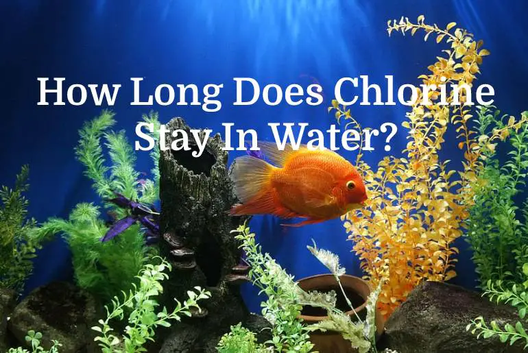Chlorine Stay in water