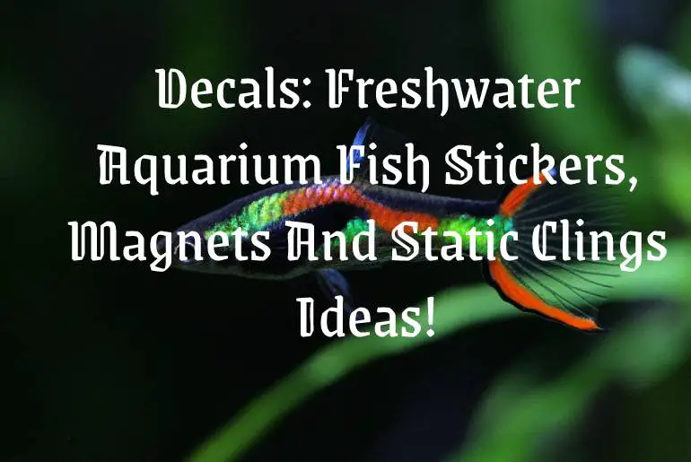 Decals: Freshwater Aquarium Fish Stickers, Magnets And Static Clings Ideas!