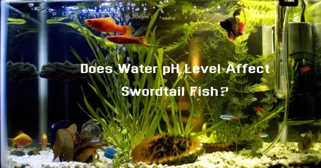 Does Water pH Level Affect Swordtail Fish?