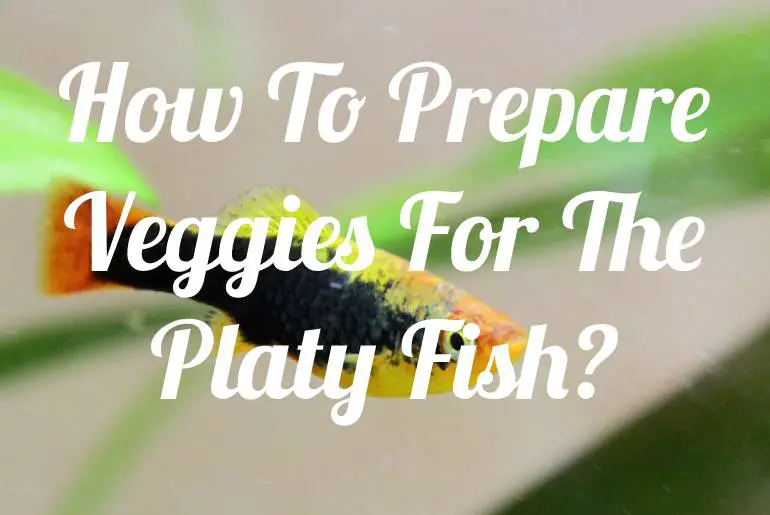 How To Prepare Veggies For The Platy Fish?