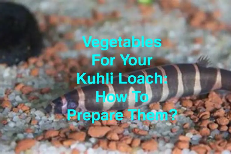 prepare vegetables for kuhli loach