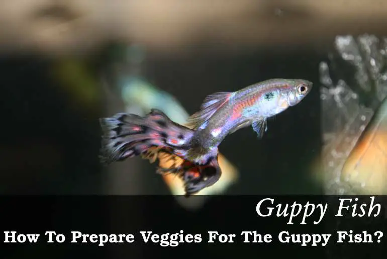 How To Prepare Veggies For The Guppy Fish