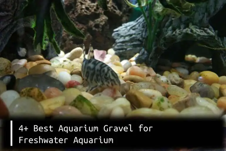best aquarium gravel for freshwater aquarium