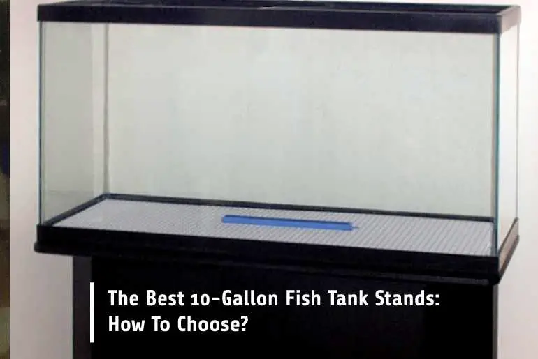10 gallon fish tank stands