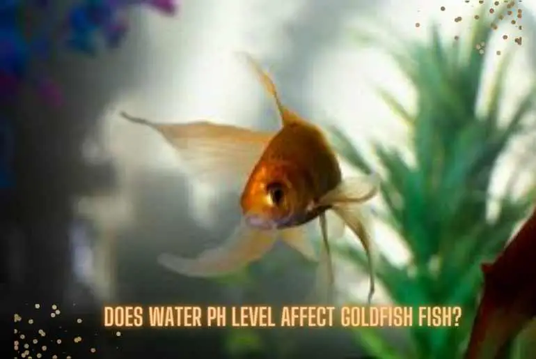 water ph level for goldfish